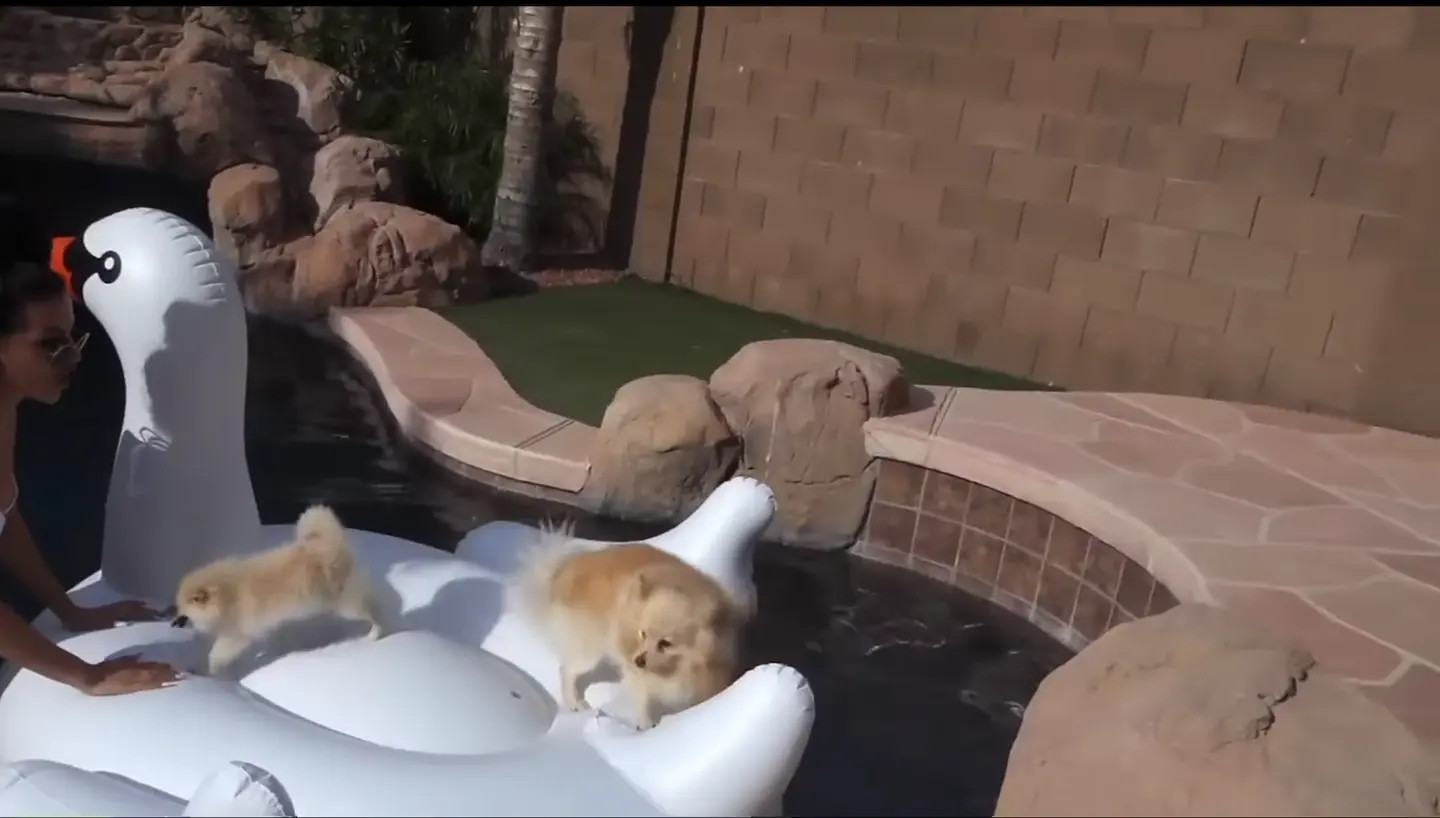 Sssniperwolf Nude Leaked OnlyFans Video #156079 - ePornLeak