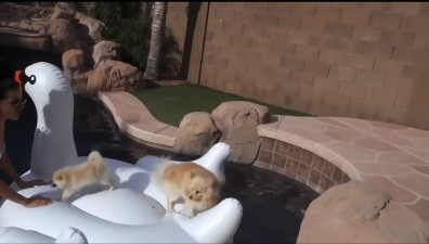 Sssniperwolf Nude Leaked OnlyFans Video #156079