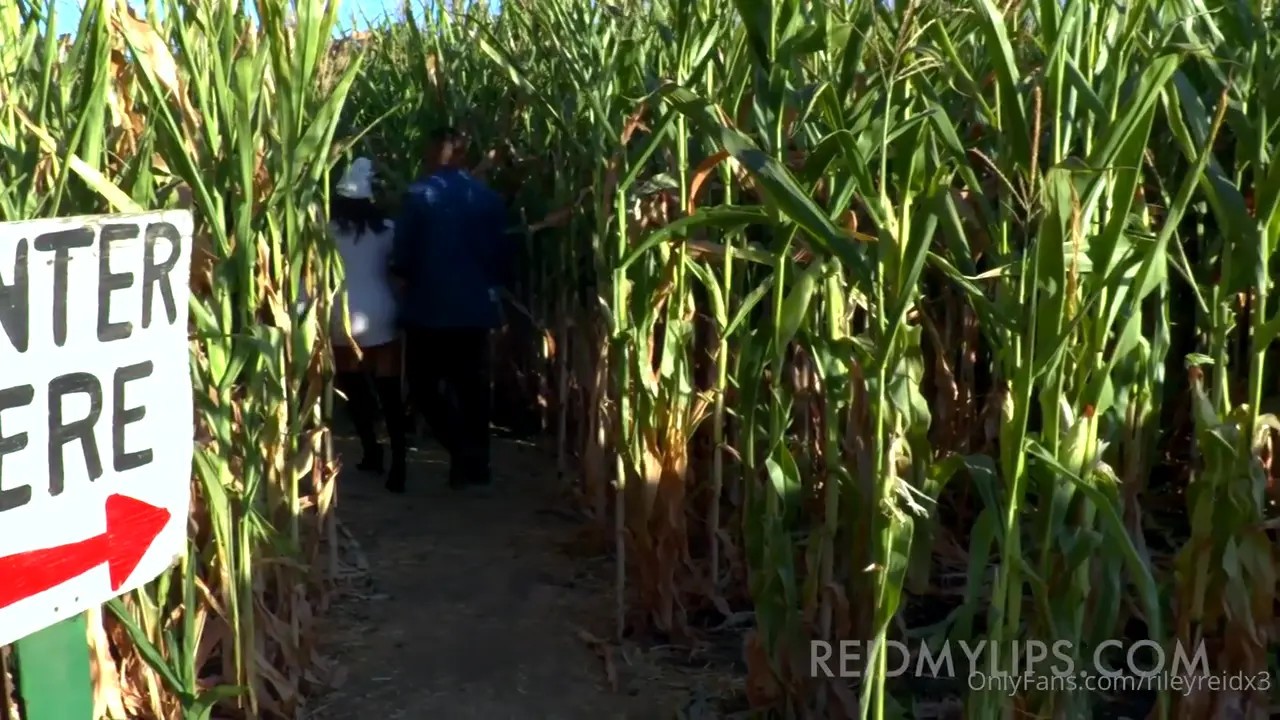 Riley Reid Has Sex In A Cornfield - ePornLeak