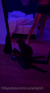 Horny_zack [ cutieboy691 ] - take a chance on me