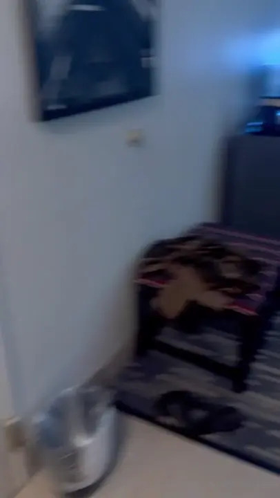 Nocarekali Bends Over For BBC In Rough Doggy - ePornLeak