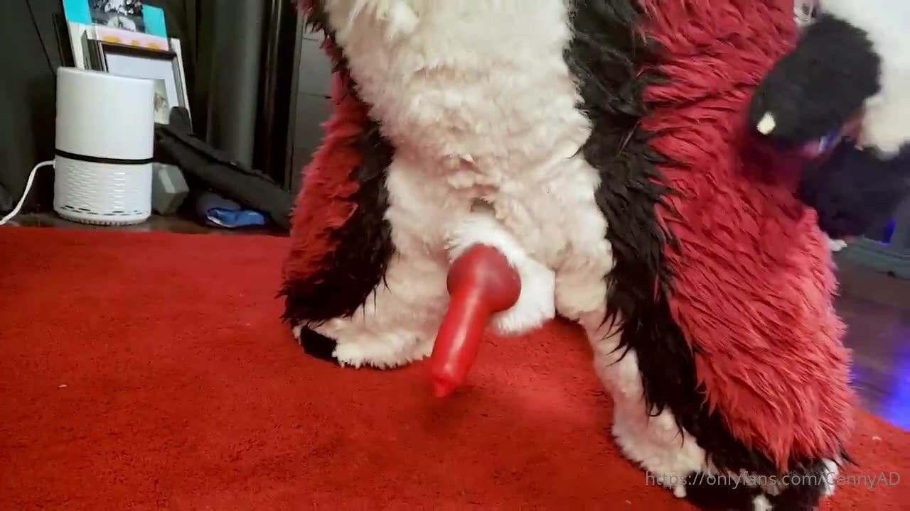 Cenny After Bark 💄 [ cennyad ] - A quién le calienta ver las venas - ePornLeak