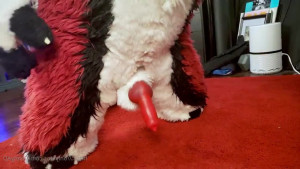 Cenny After Bark 💄 [ cennyad ] - A quién le calienta ver las venas