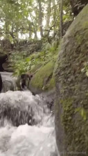 Silverriot Goes Topless In The Forest
