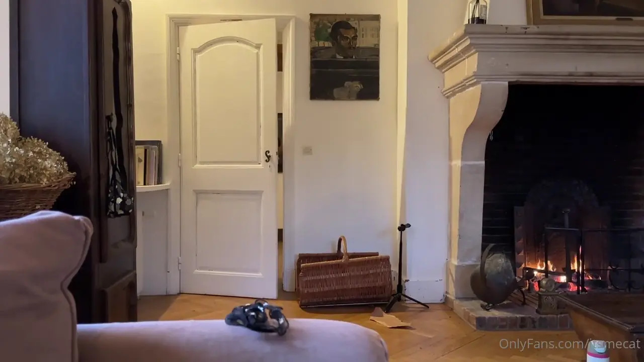 Catherine Chase Bangs Her Broke Tenant - ePornLeak