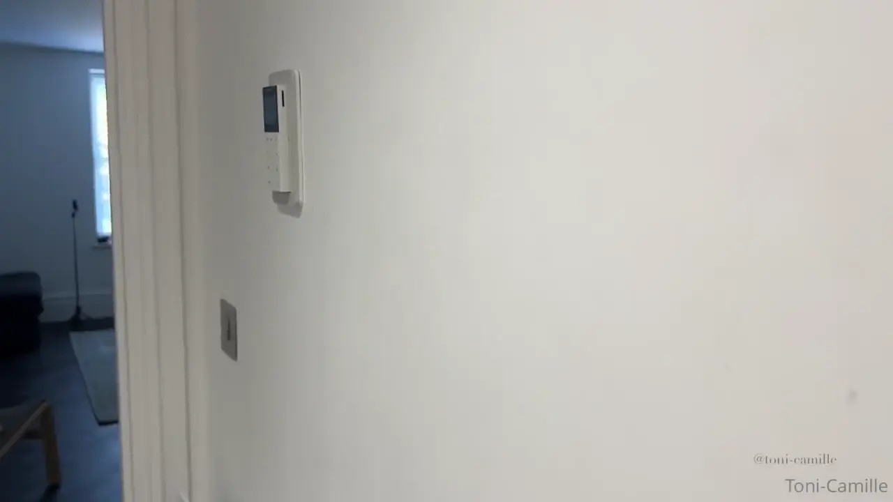 Toni Camille Uber Eat Sextape Video Leaked - ePornLeak