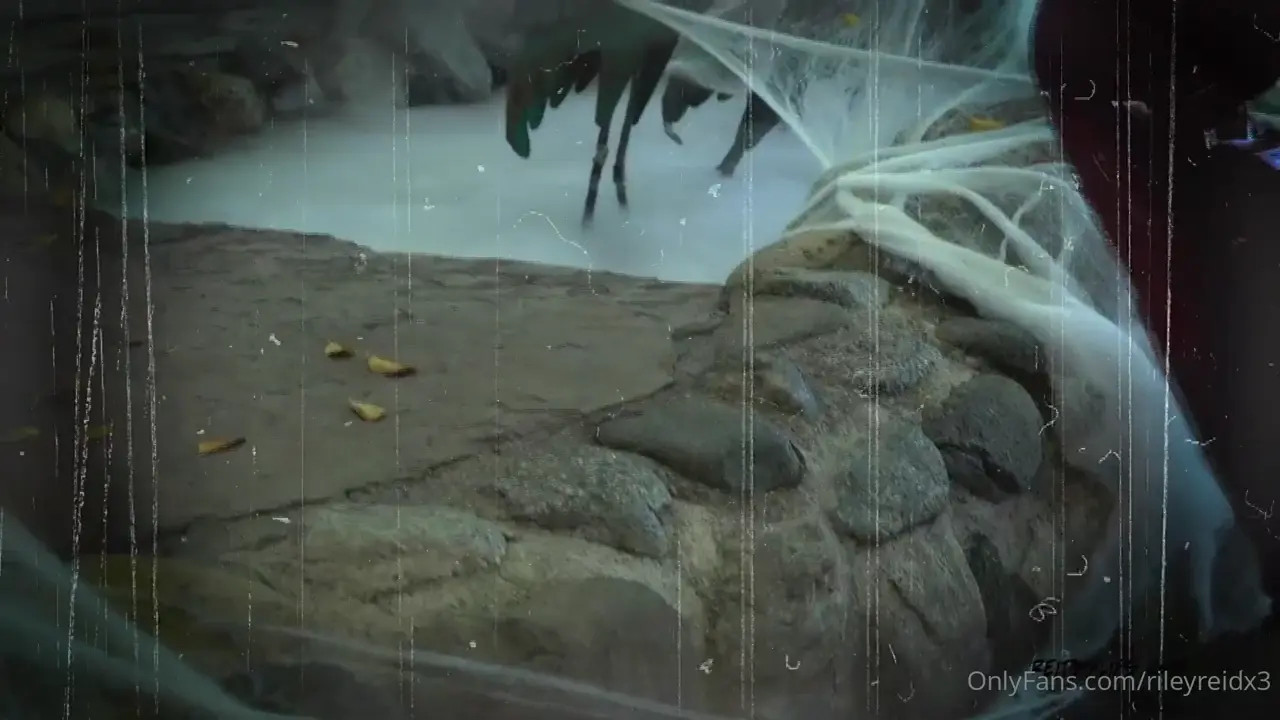 Riley Reid & Casey Calvert's Halloween Threesome - ePornLeak