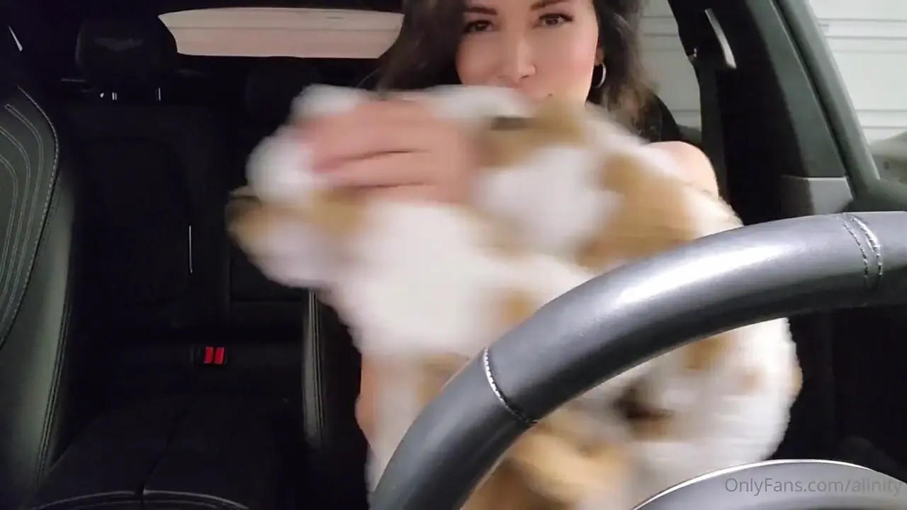 Alinity Strips And Exposes Tits In The Car - ePornLeak