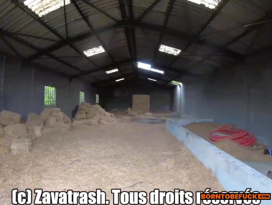 Zavatrash BBG Threesome with Horny Pigs Sextape Video Leaks - ePornLeak