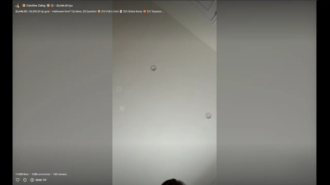 Bunny Caroline Zalog Teases In Her Livestream - ePornLeak